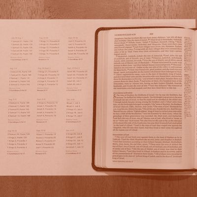 Reading Plan