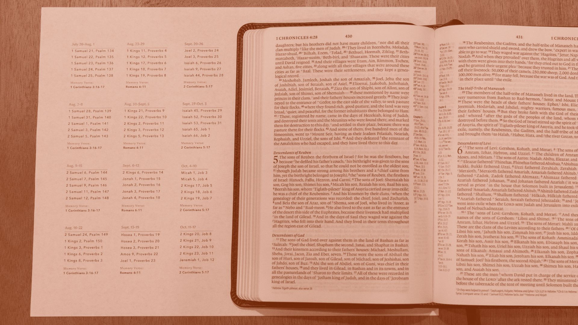 reading plan